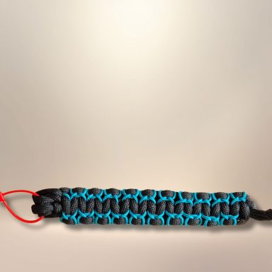 XS31