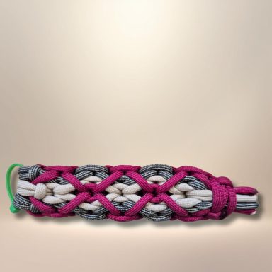 L101