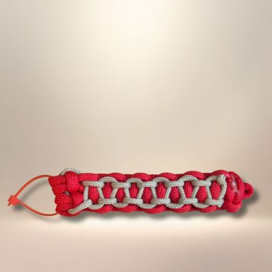 XS23